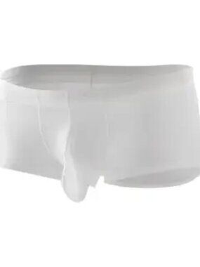 （ S）Men's Transparent Underwear Briefs